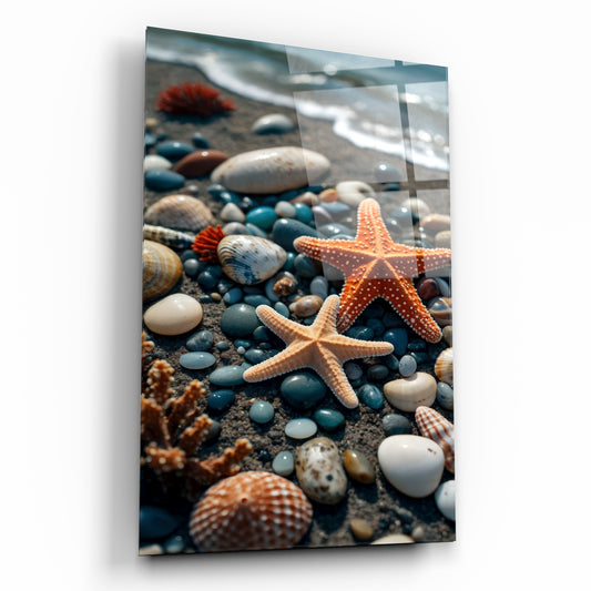 Denizyıldızı ve Deniz Kabukları Temalı Sahil Manzaralı Cam Tablo
