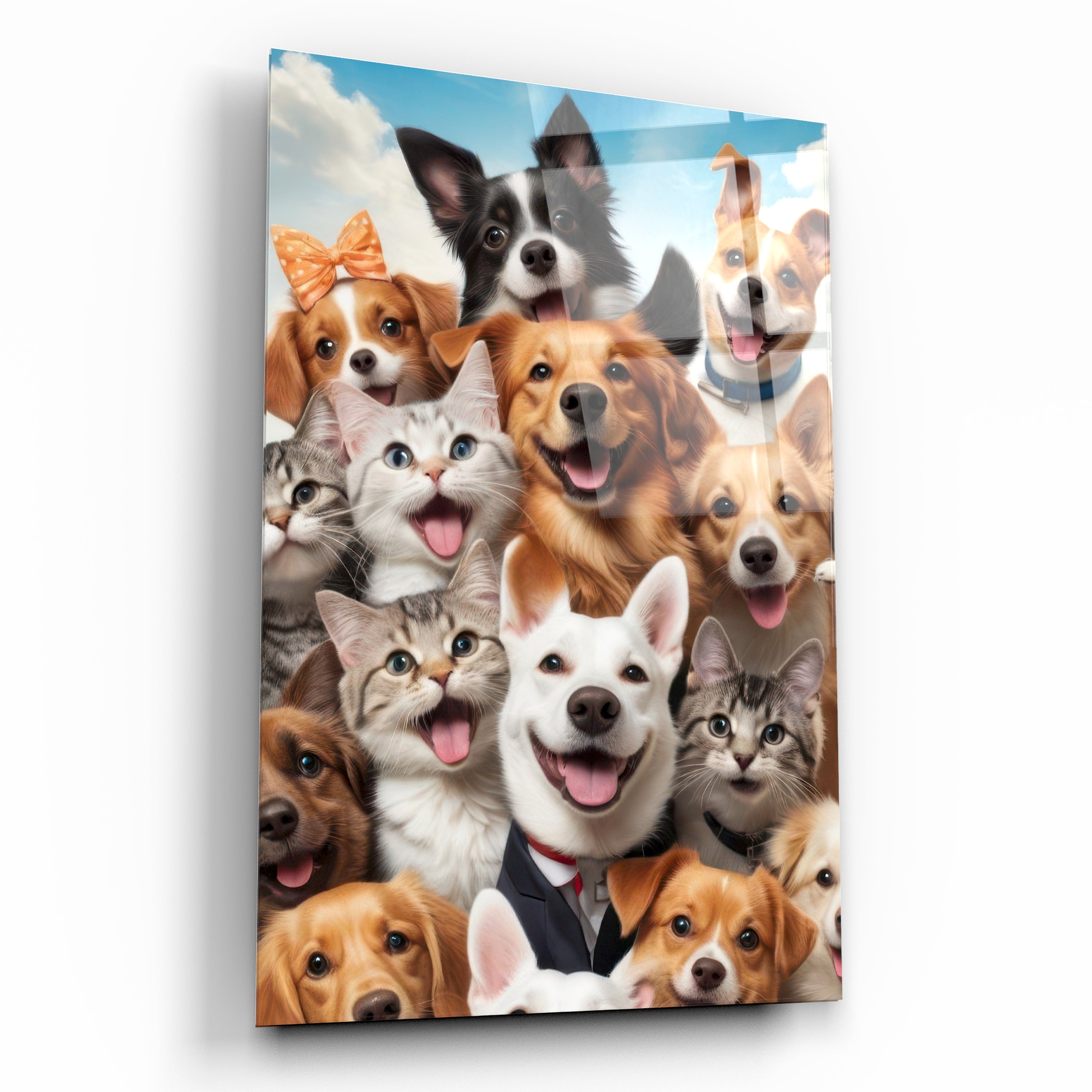 Neşeli Kedi ve Köpekler Temalı Cam Tablo