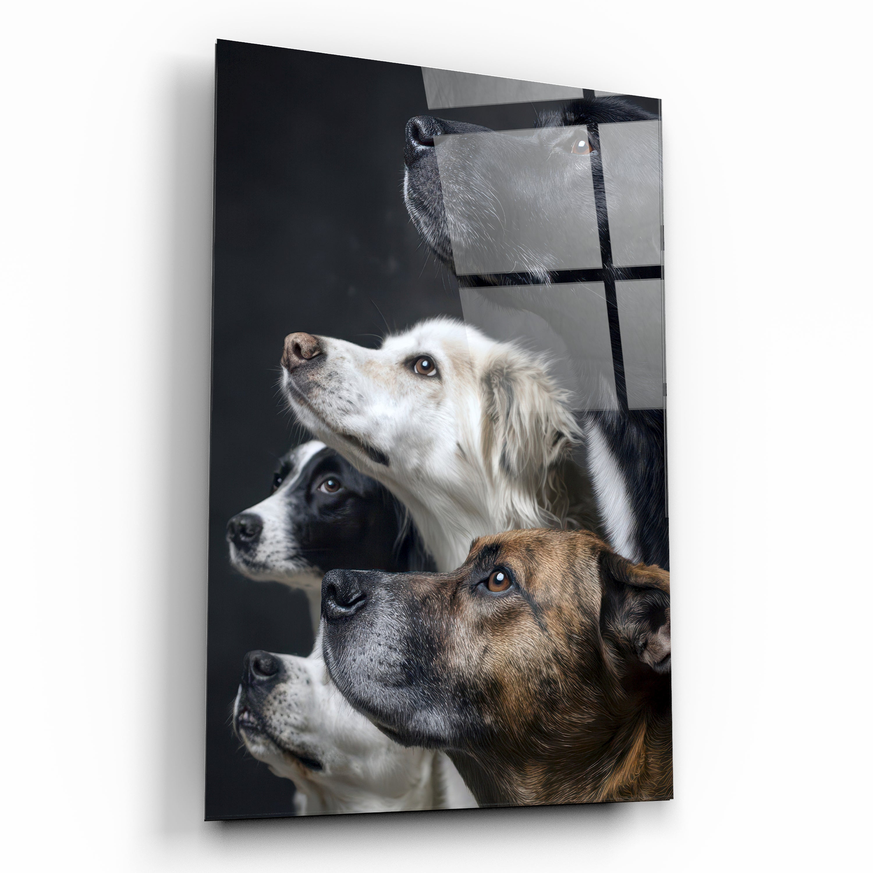 Sadık Dostlar Köpek Temalı Cam Tablo