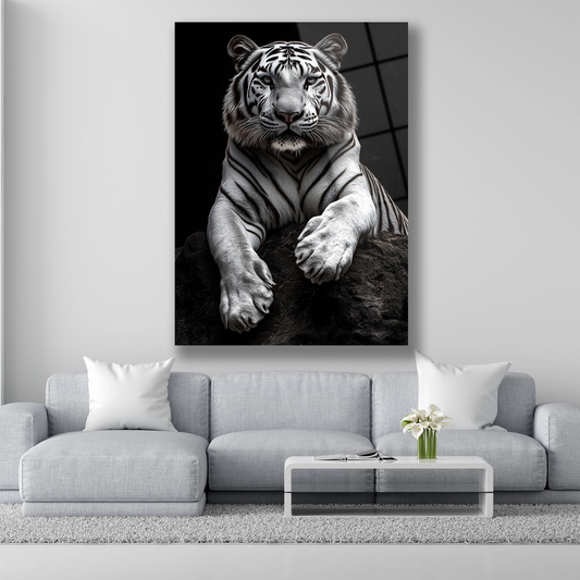 Siyah arka plan önünde duran beyaz kaplan portresi cam tablo